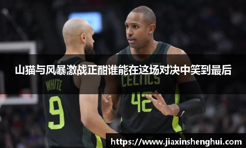 山猫与风暴激战正酣谁能在这场对决中笑到最后