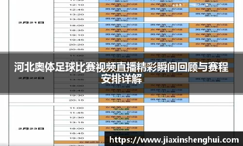 河北奥体足球比赛视频直播精彩瞬间回顾与赛程安排详解